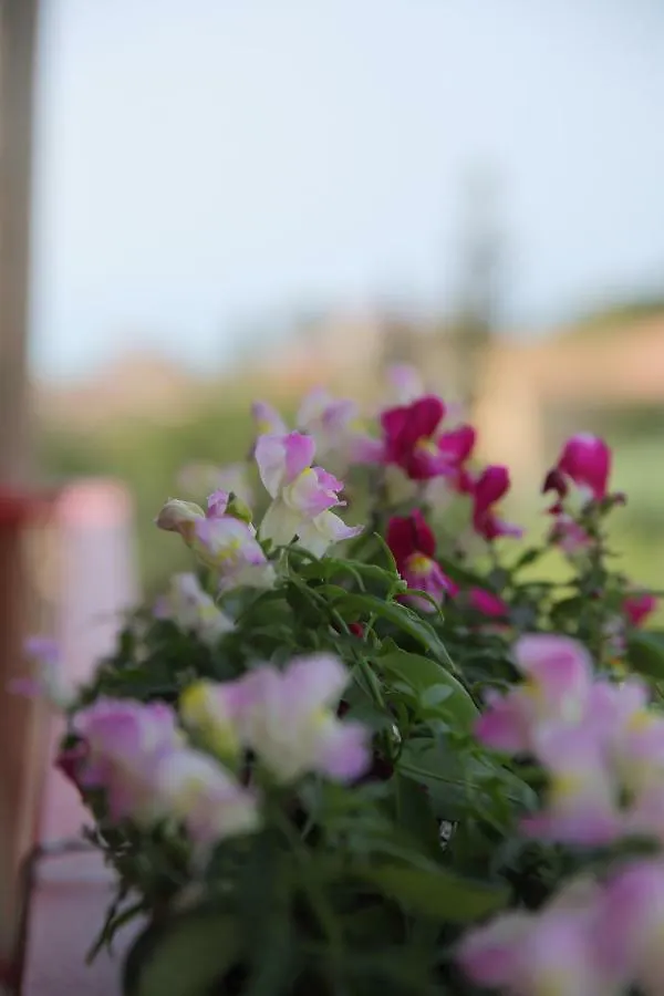 Apartament Lo Scoglio Della Sirena Agrigento 0*,  Włochy